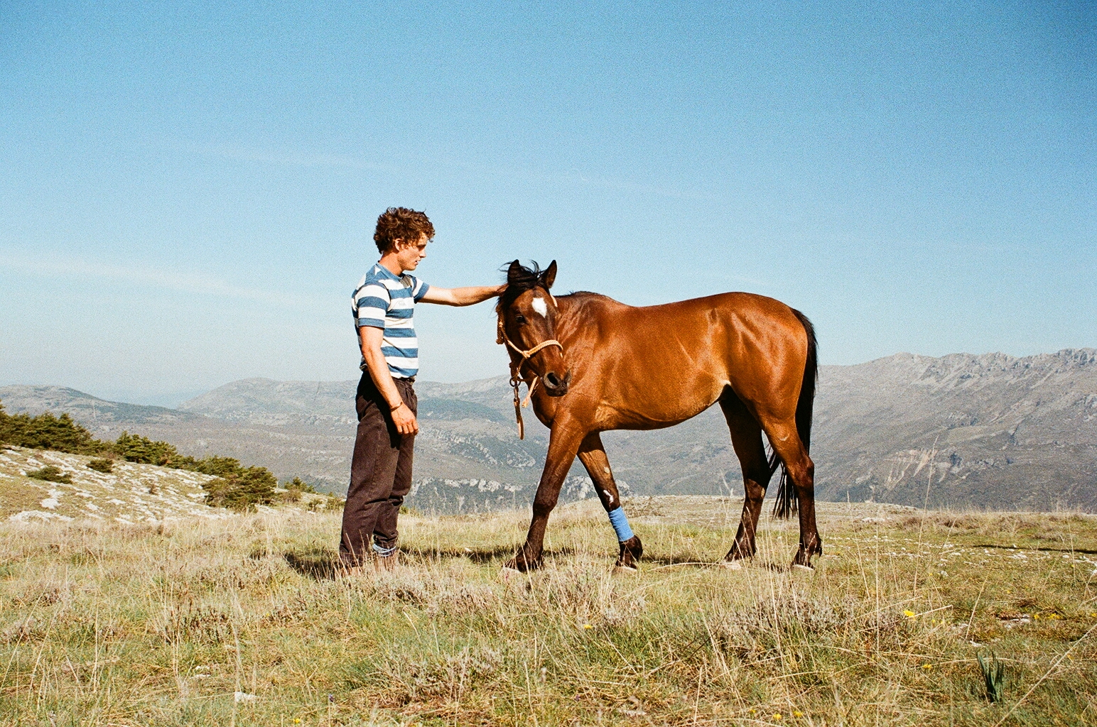Louis and his horse