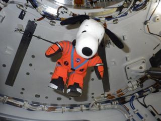 Snoopy, the Artemis 1 zero gravity indicator, is seen inside the Orion spacecraft in this photo taken before launch.