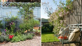 compilation image of two gardens hsowing climbing plants to support a budget garden idea to transform a space