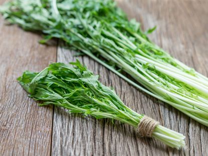 Two Bundles Of Mibuna Mustard Greens