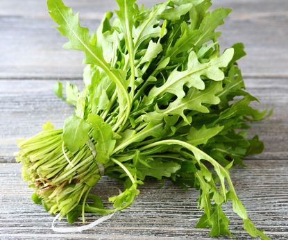 When to harvest arugula: an expert guide | Homes & Gardens