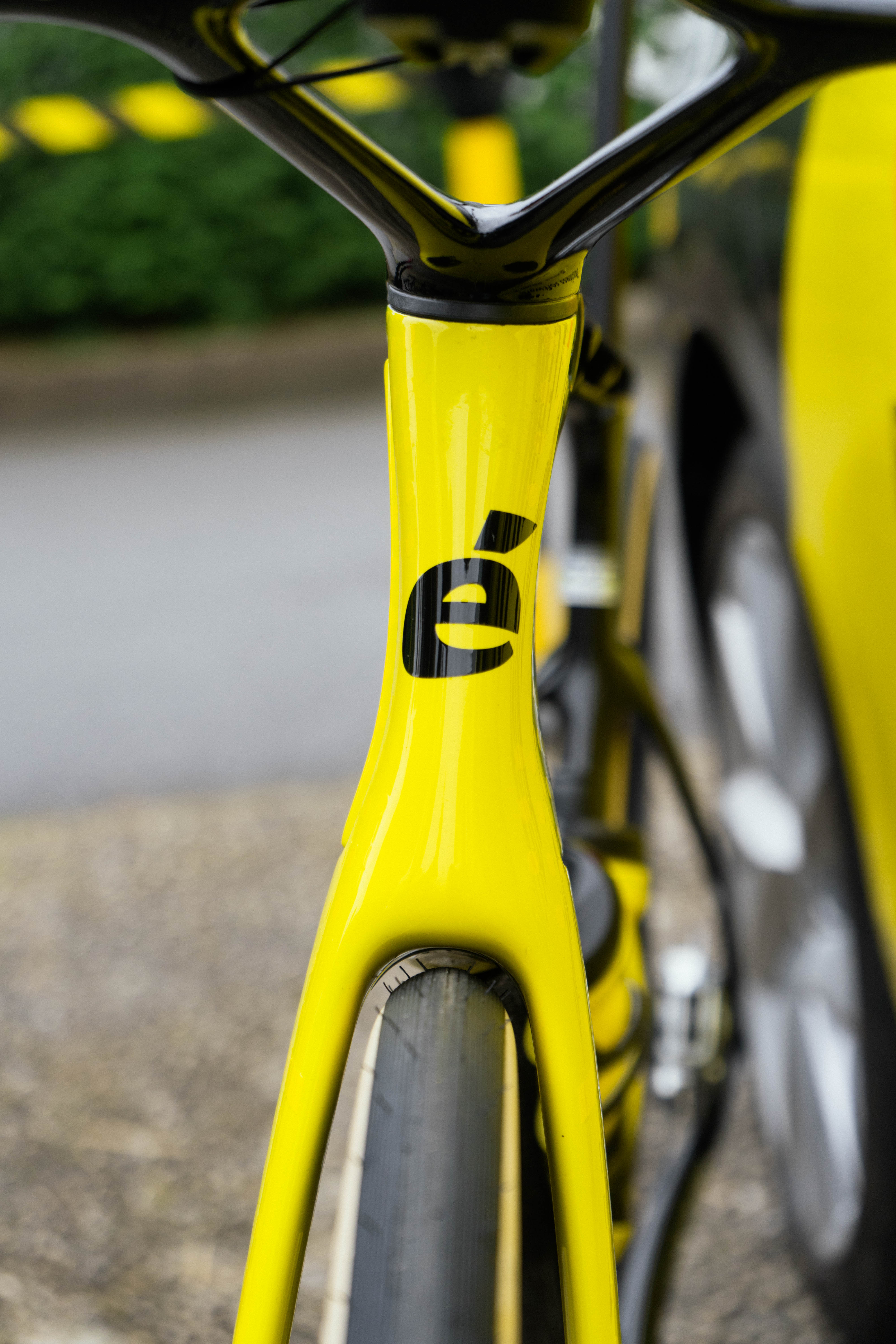 la bicicleta de wout