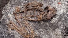 A buried skeleton from the early Jomon period.