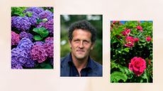 composite of hydrangeas, picture of Monty Don and a rose bush to support an article based on Monty Don's March planting advice