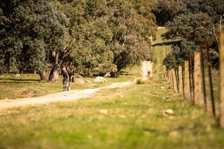 Adam Blazevic (Pedal Mafia-Giant) out front in one of the pivotal moves at Gravelista, the Beechworth round of the UCI Gravel World Series 2022