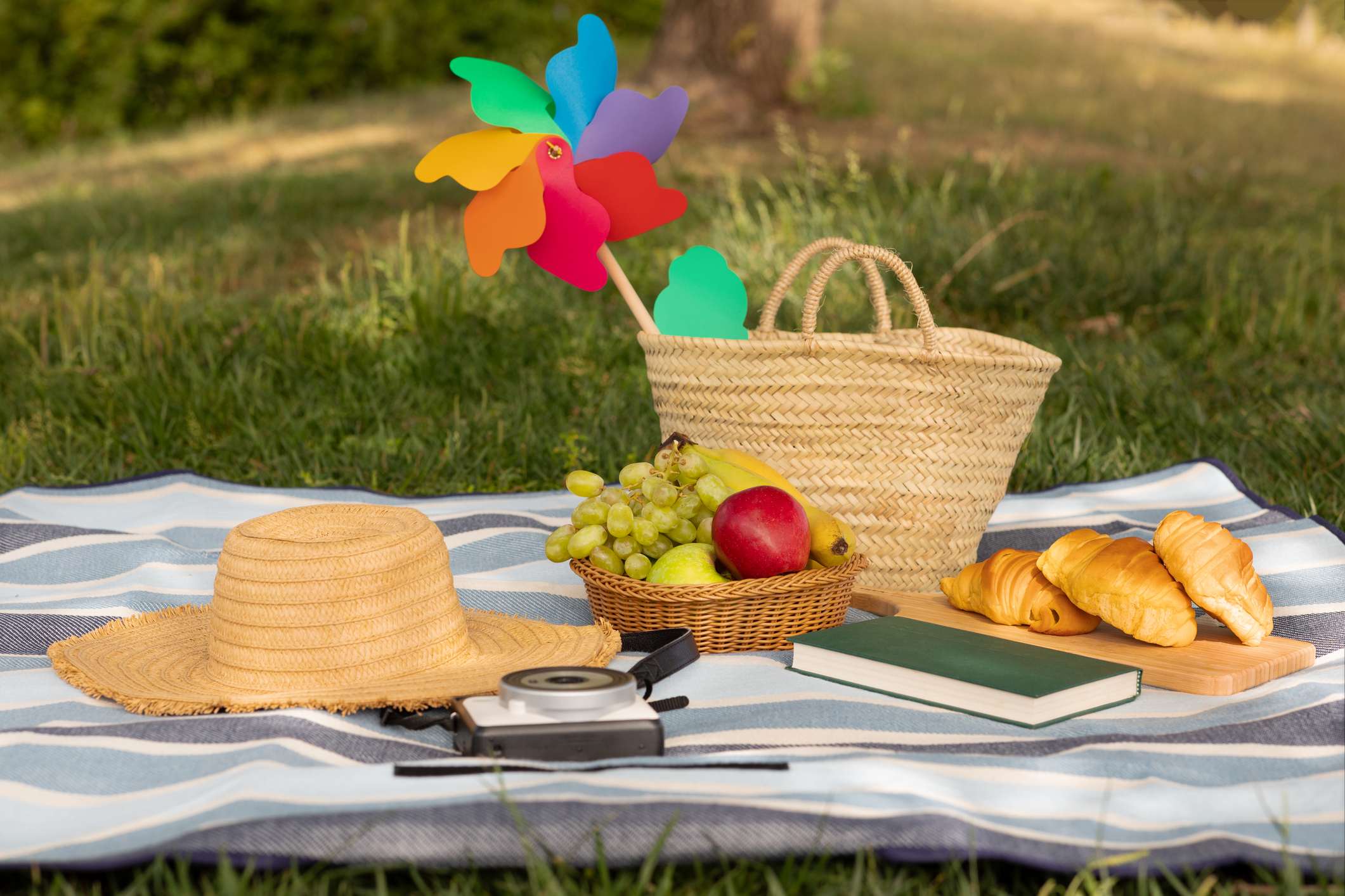 colorful family picnic on a grassy lawn with basket, hat, and pinwheel