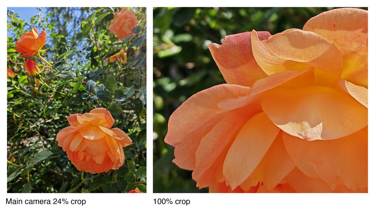 Sample photos taken on the Honor Magic 4 Pro