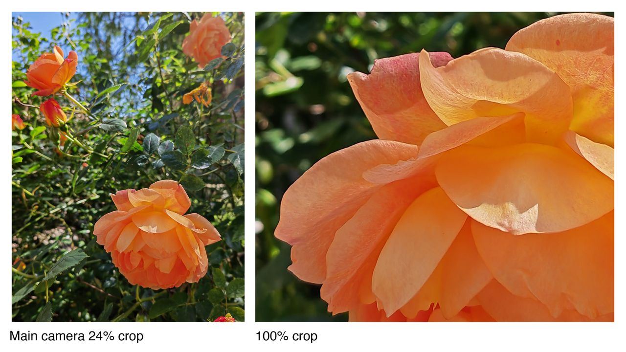 Sample photos taken on the Honor Magic 4 Pro