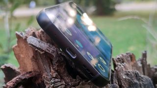 The Fairphone 5 leaning on a tree stump.