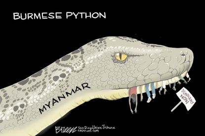 Editoral Cartoon U.S. myanmar coup