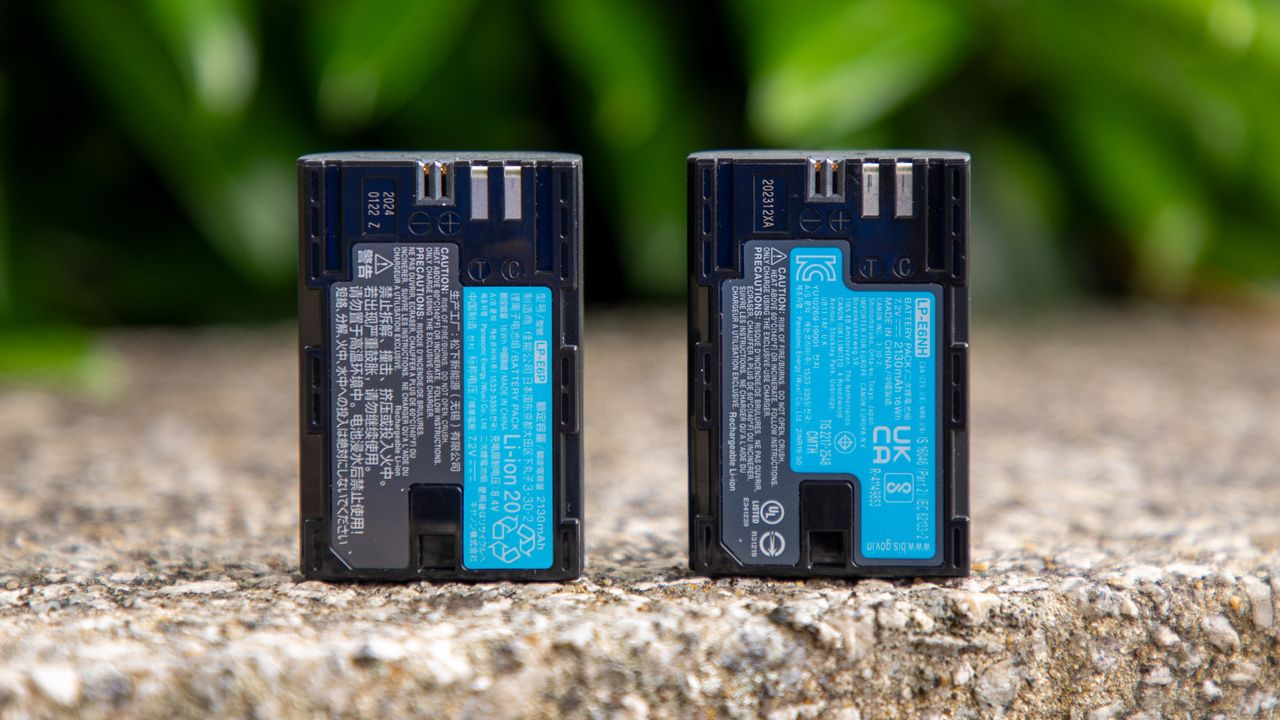 Canon Battery Grip BG-R20 BG-R20EP CF-R20EP