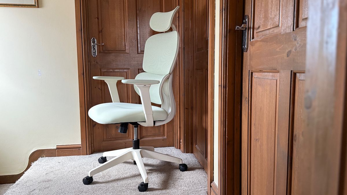 Two shots of the Flexispot BS5 chair.