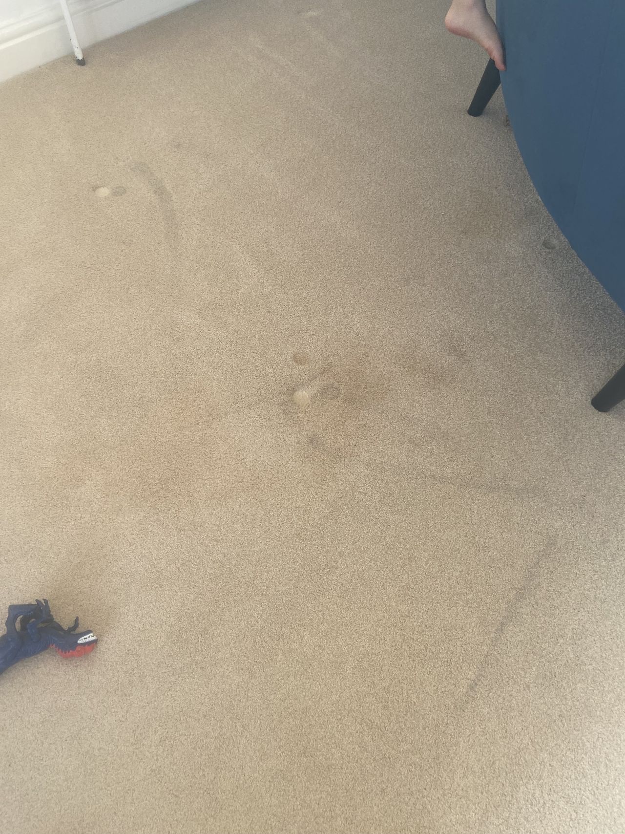 Before cleaning with the Vax SpotWash