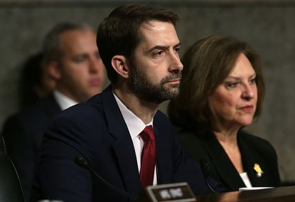 Sen. Tom Cotton.