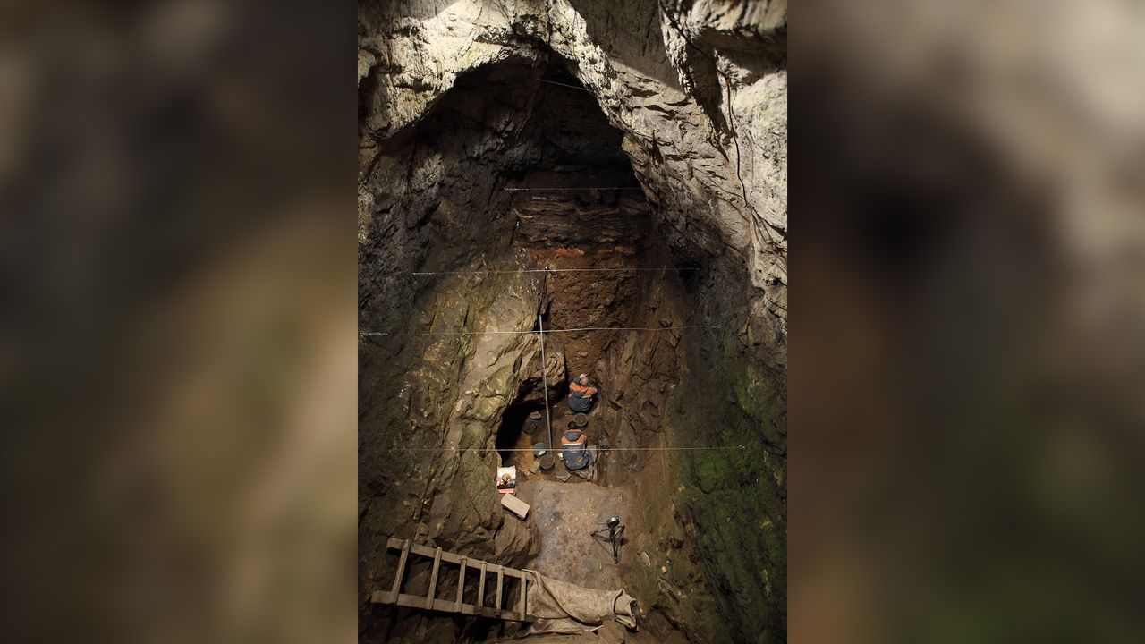 The researchers found Denisovan bones within the oldest layers of Denisova Cave.
