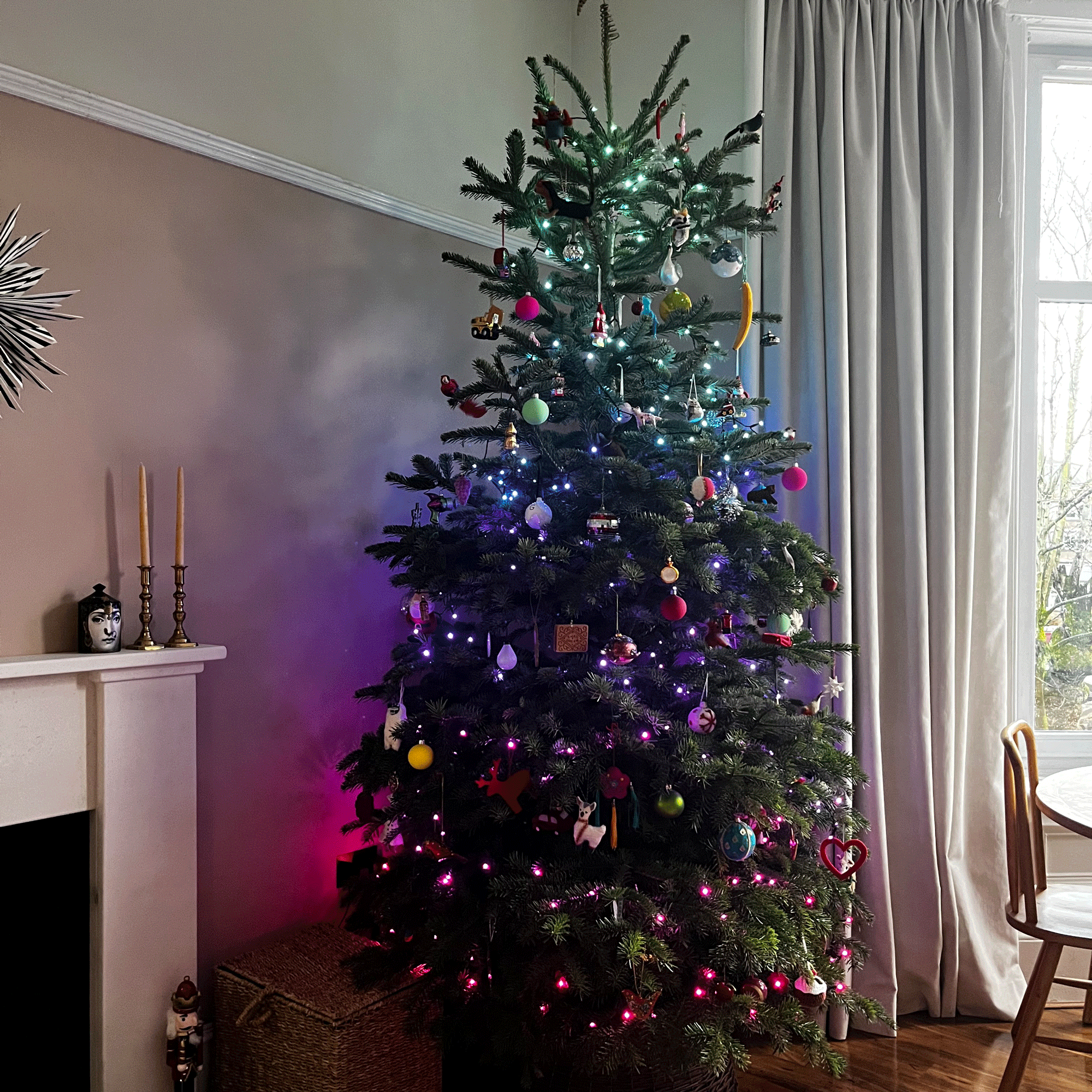 Colour-changing Philips Hue Festavia string lights on a Christmas tree