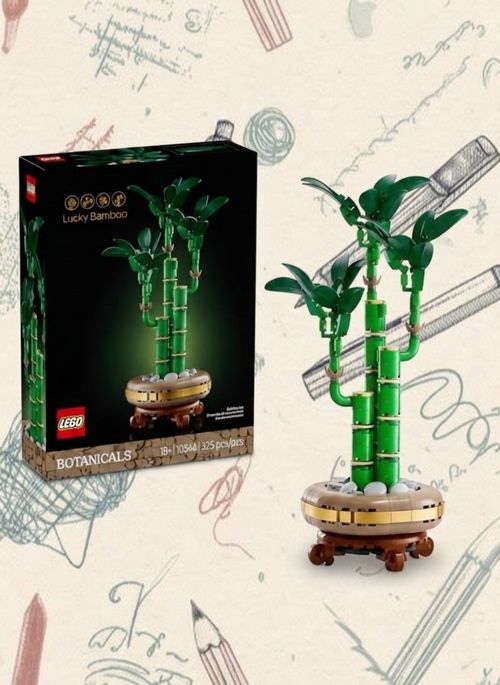 Botanicals Lucky Bamboo Set