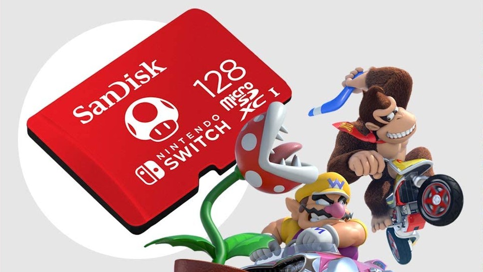 SD card being carried by Nintendo game characters