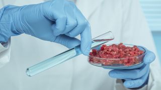 Scientist testing raw meat in laboratory.