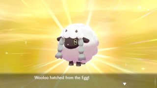 Pokemon Sword and Shield Wooloo hatching