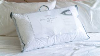 Saatva Down-Alternative Pillow