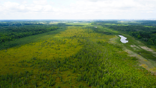 Mer bleue bog