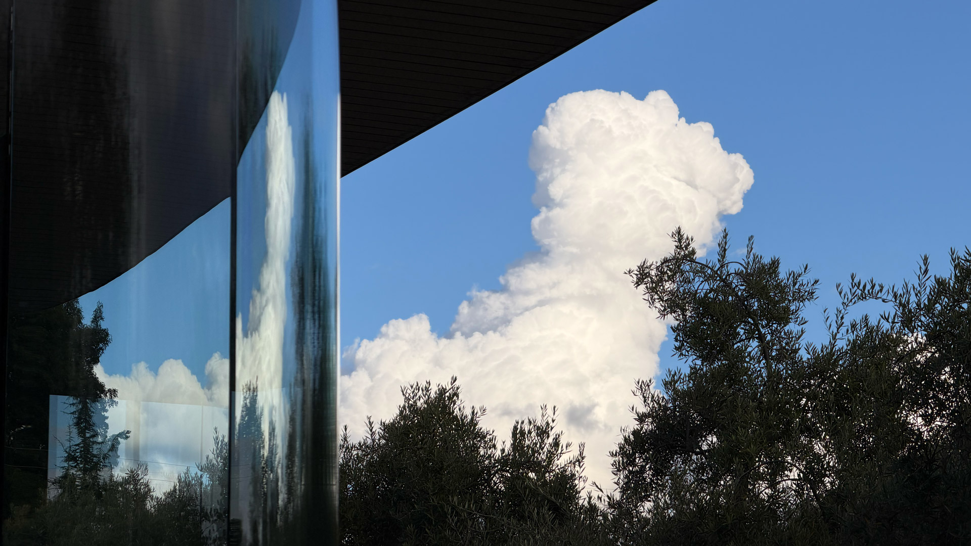 Apple iPhone 17 Pro Max REVIEW photo samples