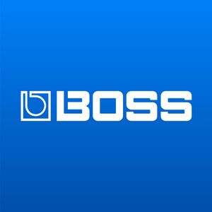 Boss logo