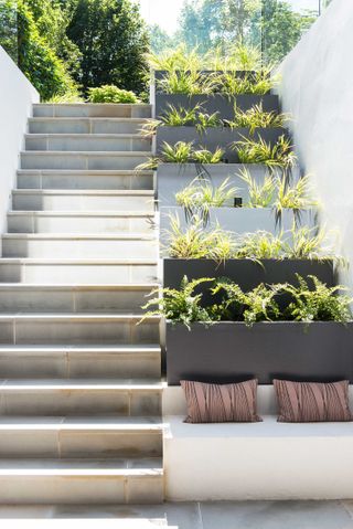 tiered garden ideas: steps with grasses
