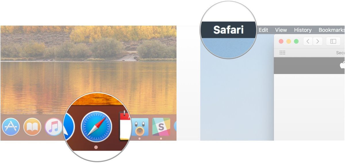 safari cookies folder