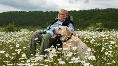 A smiling older man sits in a chair in a field of daisies with his dog.