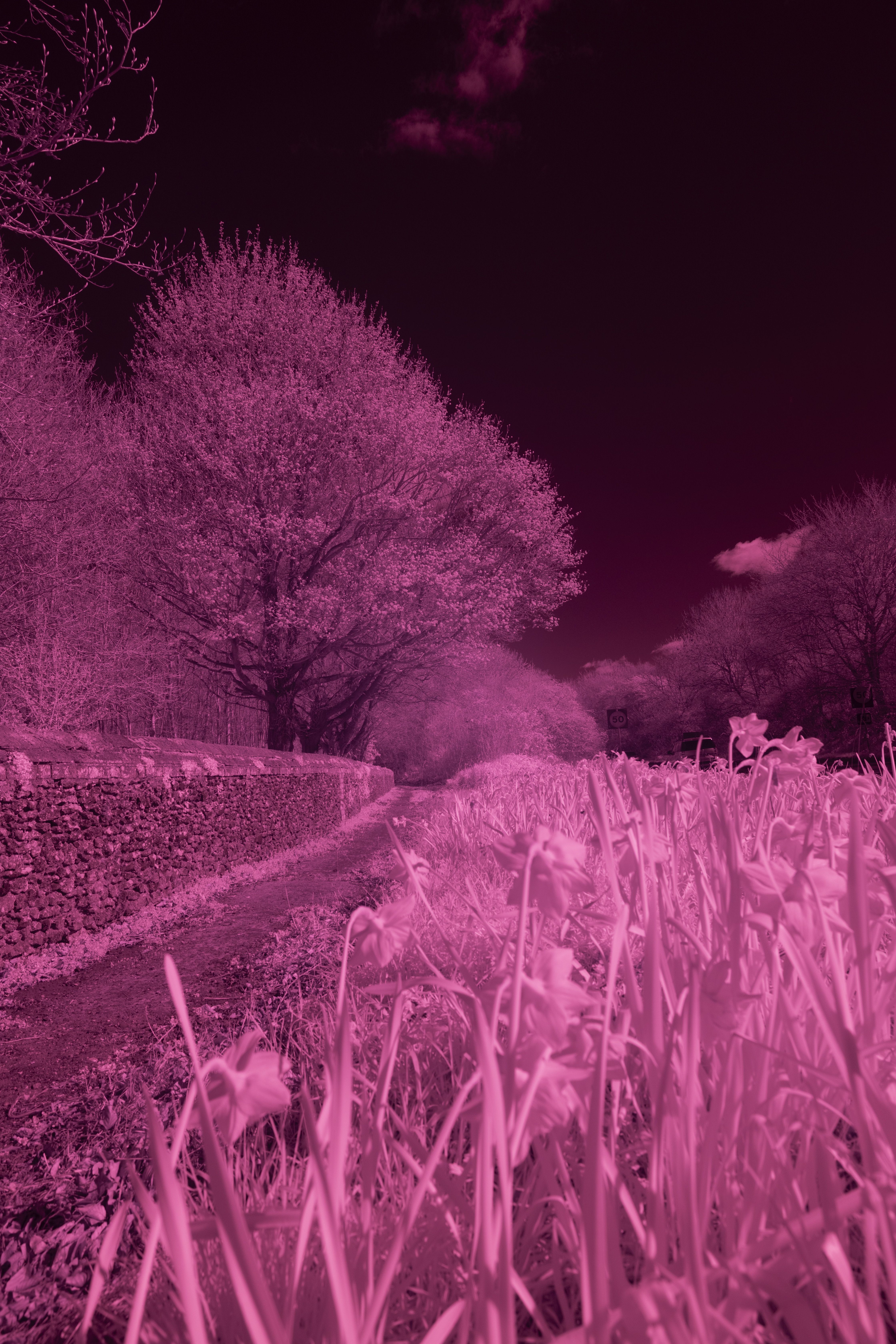 ICE Infrared Filter HB760 Test Shot