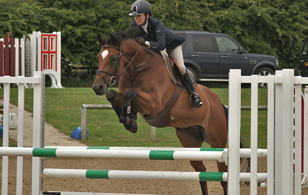 kidney-horse-DSC03373.jpg