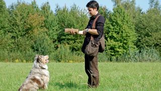 Dog trainer with Australian shepherd dog