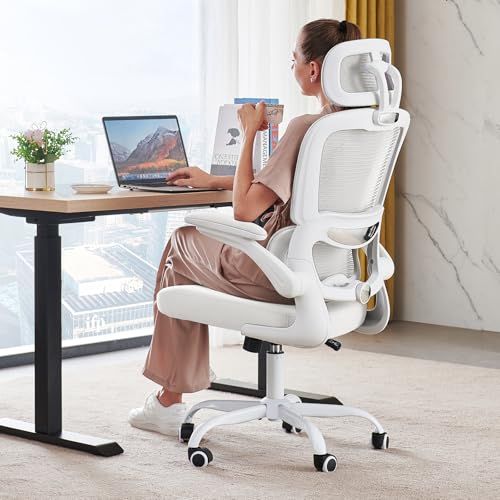 Ergonomic Office Chair 