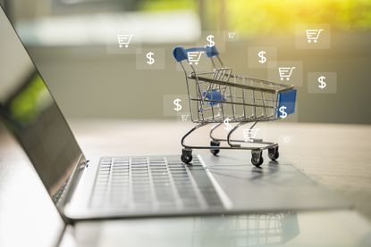 picture of mini shopping cart on laptop