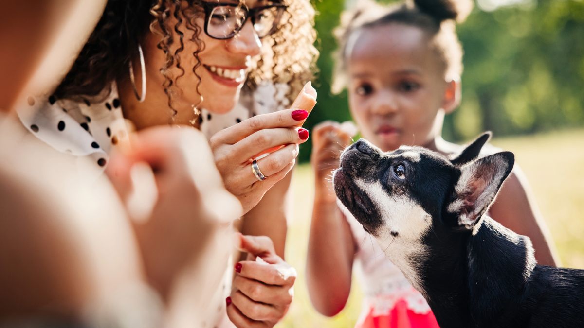 Woman giving dog a treat while her young children watch on