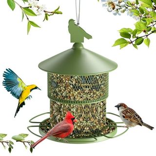 A green-lidded nut bird feeder with a bar perch surrounding it.