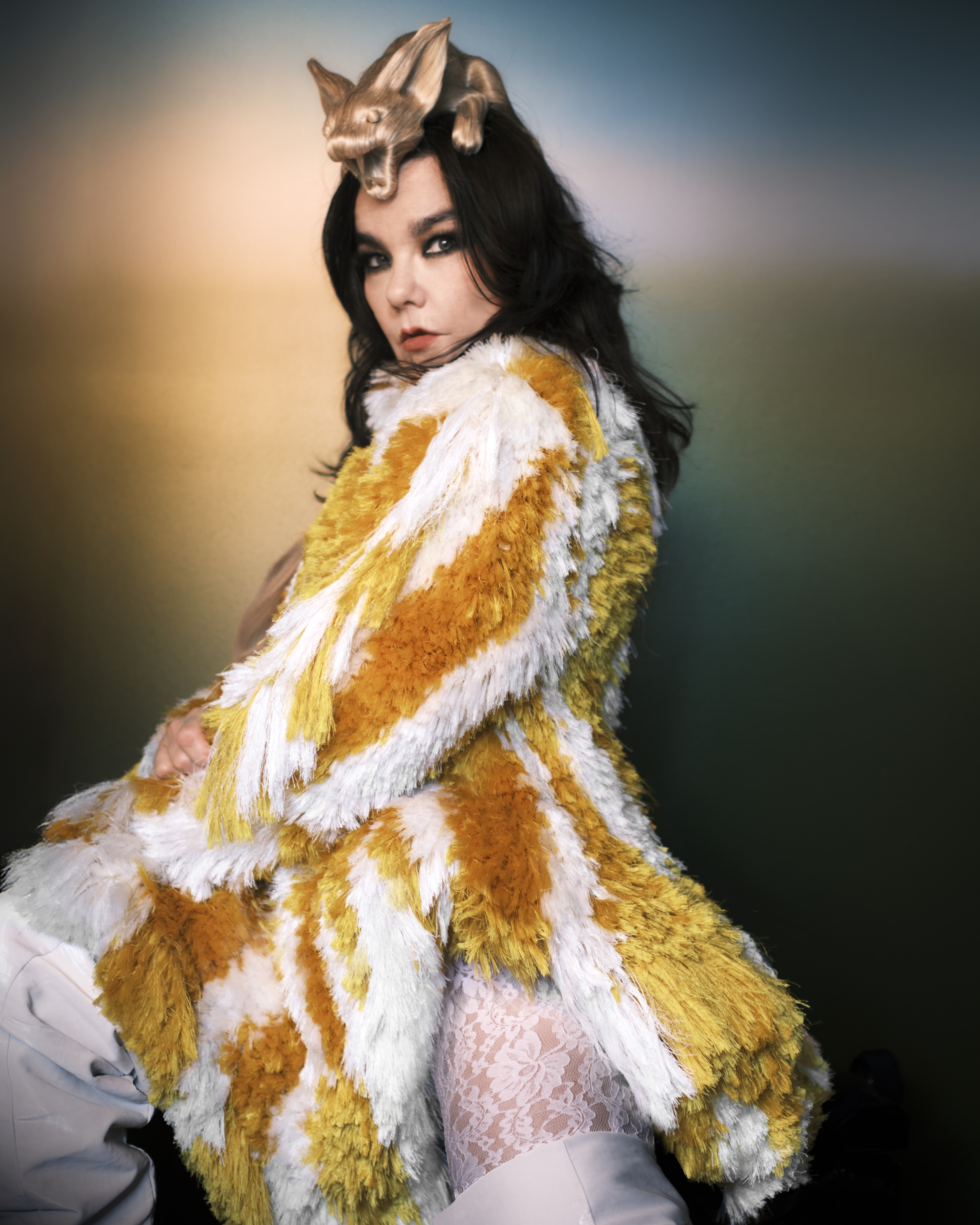 profile of bjork