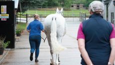 HAH335.news_10.lameness_trot_up_3_409033932_736249822.jpg