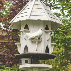 Dovecote with dove. Historic family home in the Cotswolds, a five bedroom converted 17th century mill house, home of Cat And Sim Preston and their family