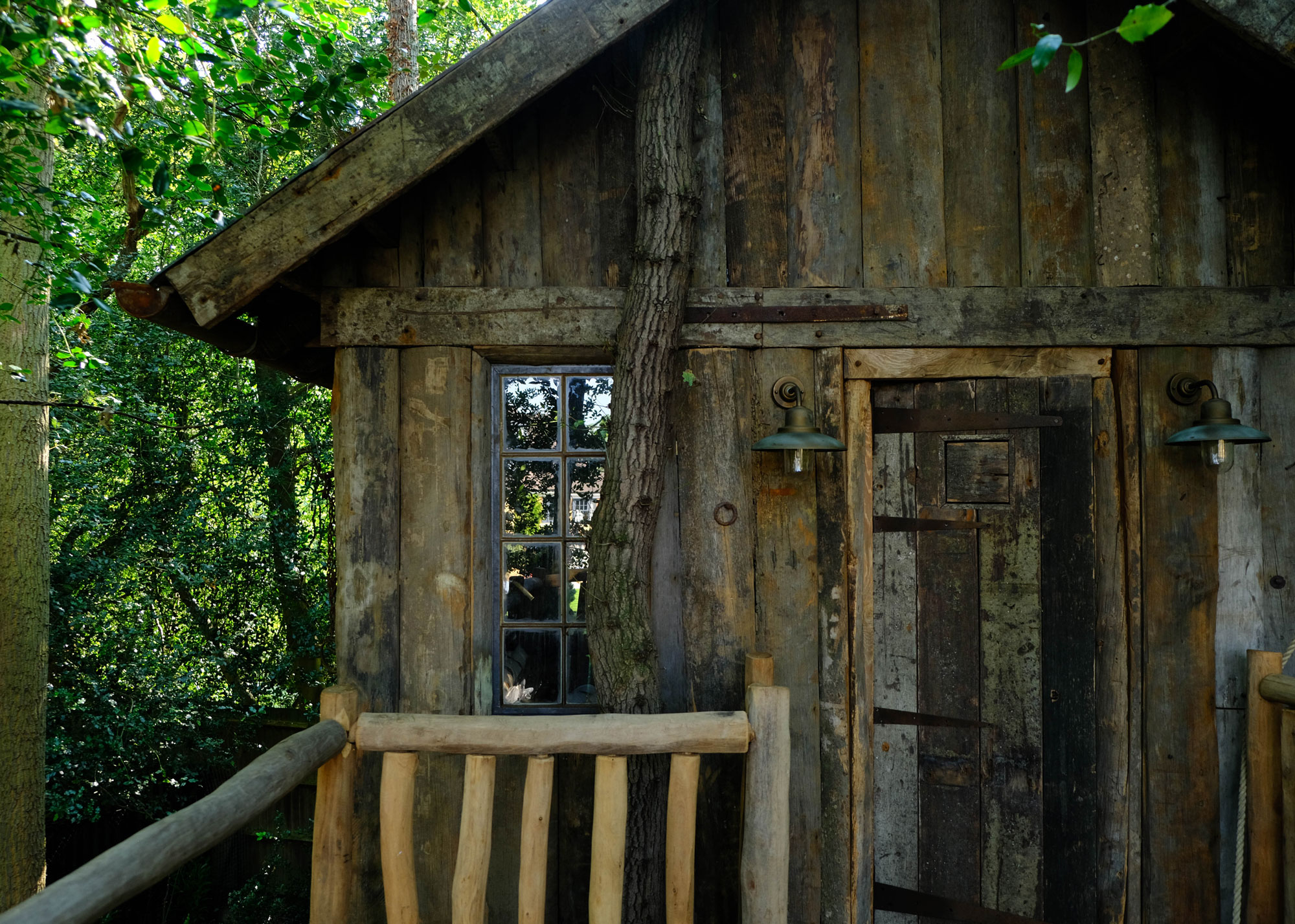 close up of a rustic treehouse in woodland garden