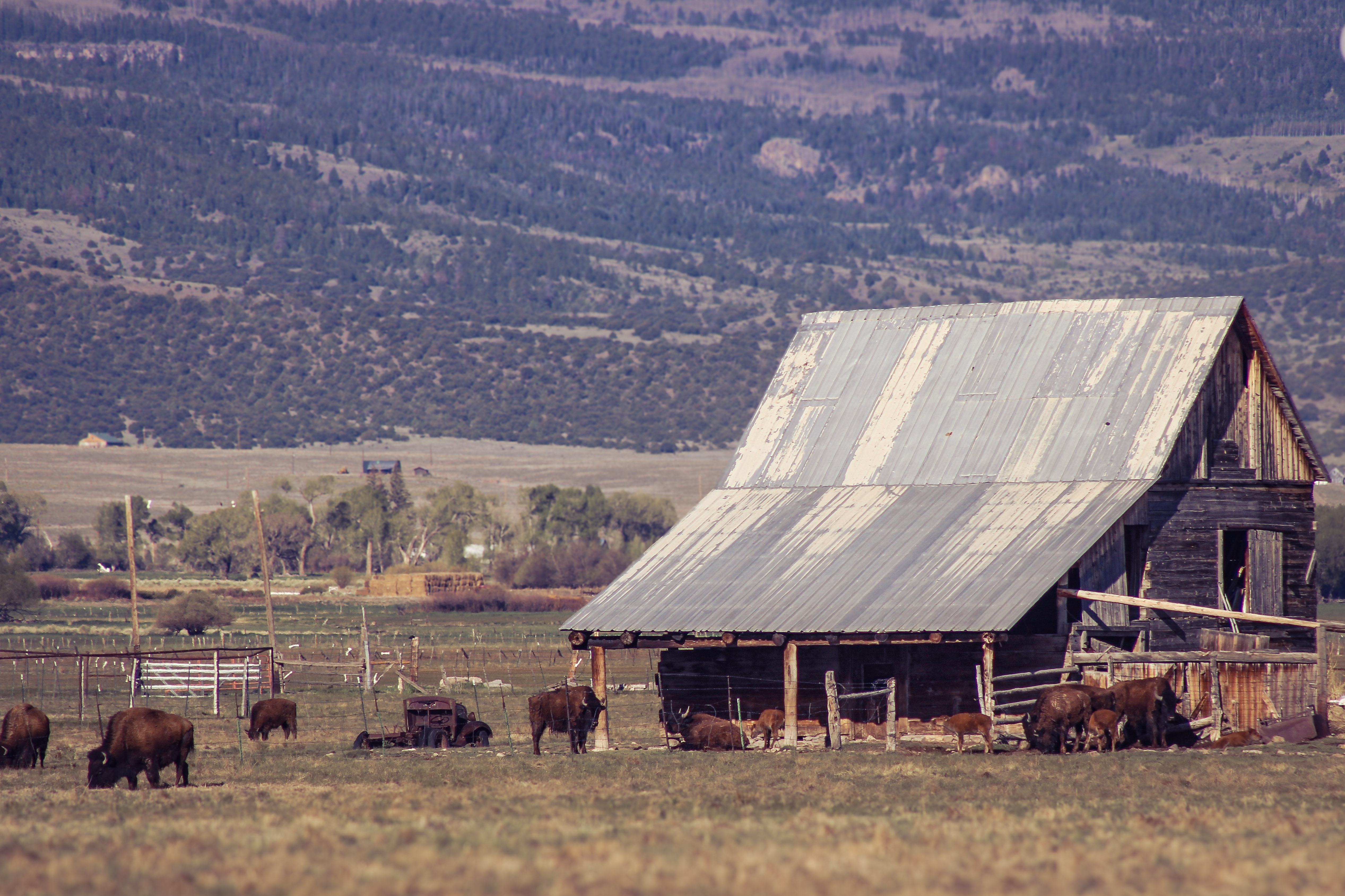 GuruShots - February 2026