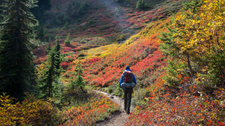 North Cascades