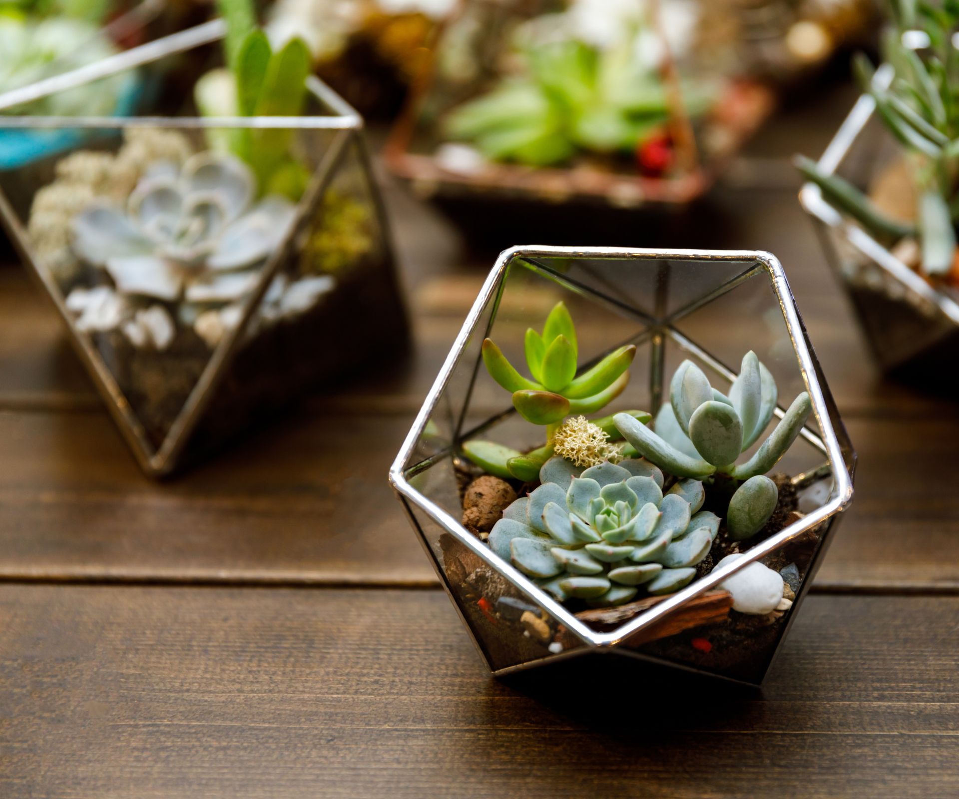 Indoor Garden Ideas: 9 Ways To Create A Plant-filled Haven | Homes ...