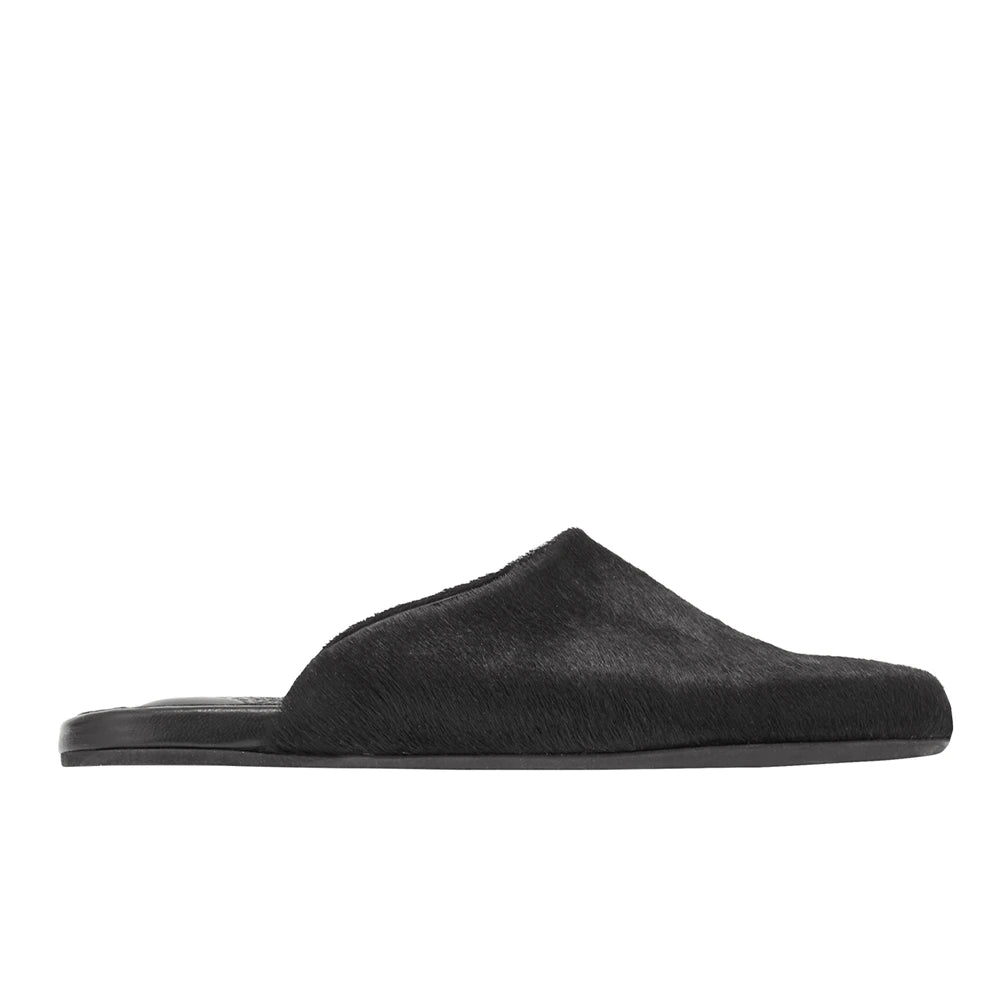 The Slipper Black