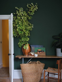 Duck Green, Farrow &amp; Ball