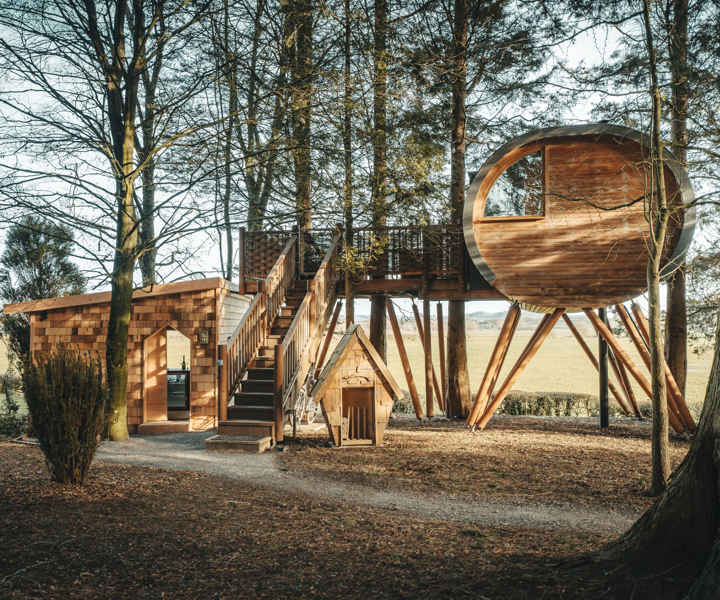 Modern timber treehouse on stilts with large round viewing window and staircase access in woodland setting
