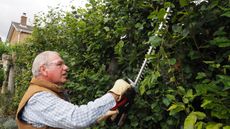 man cutting a garden hedge using a Cobra cordless hedge trimmer