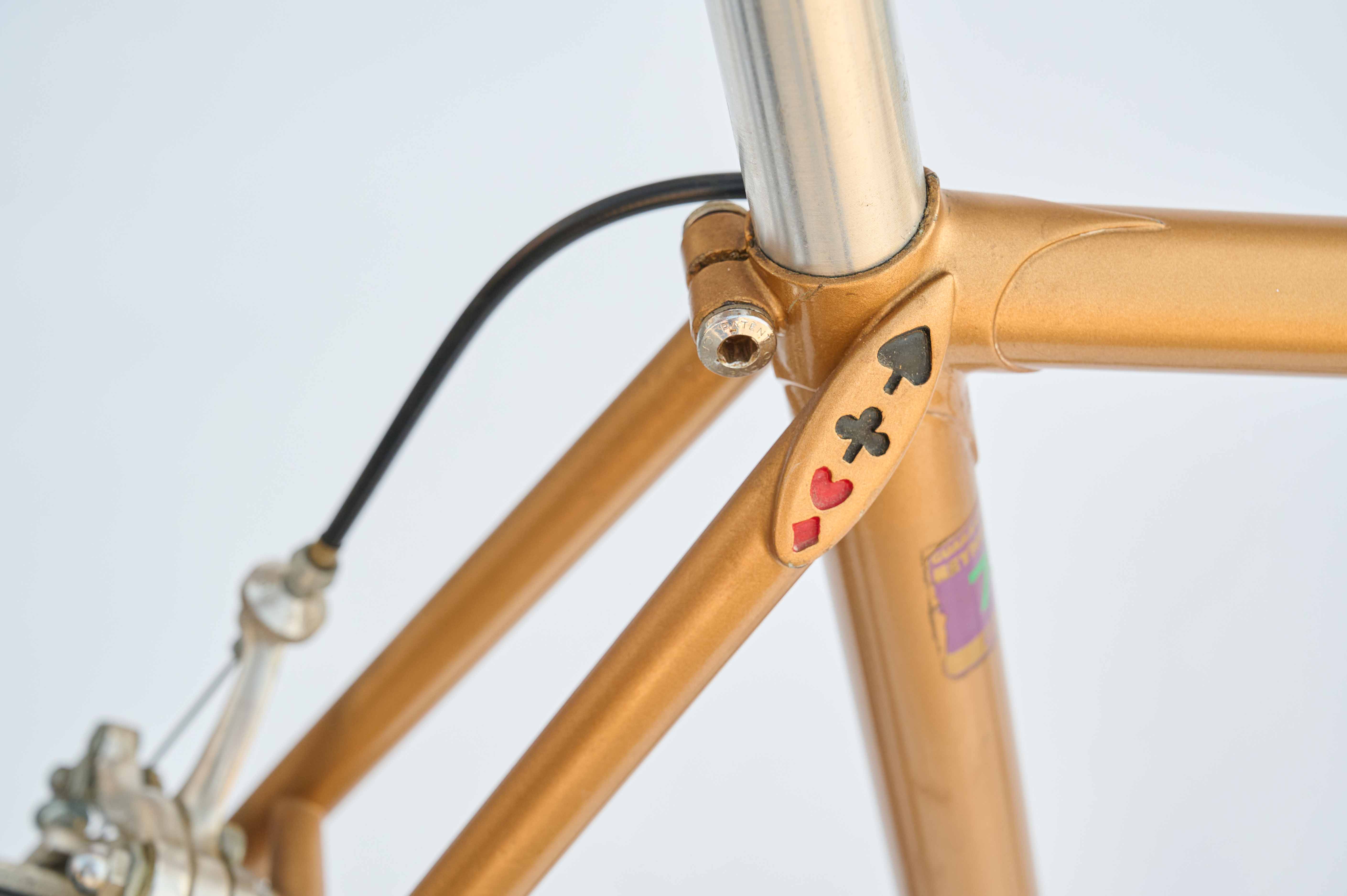 Sam Hudson's Raleigh